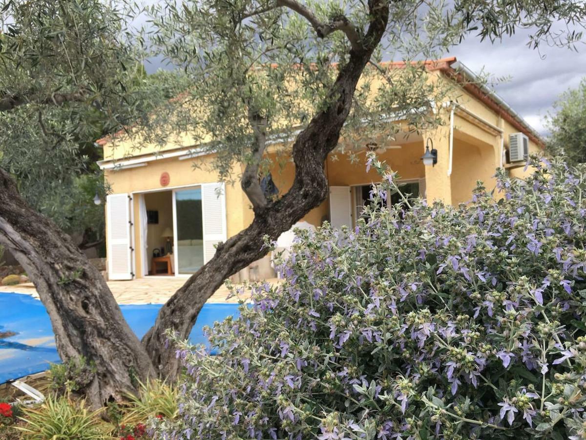 Villa La Inopia à L'Ampolla Extérieur photo